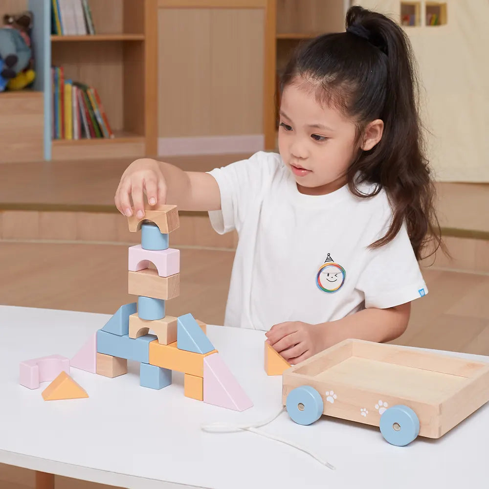 Pull Along Wagon with Wooden Blocks