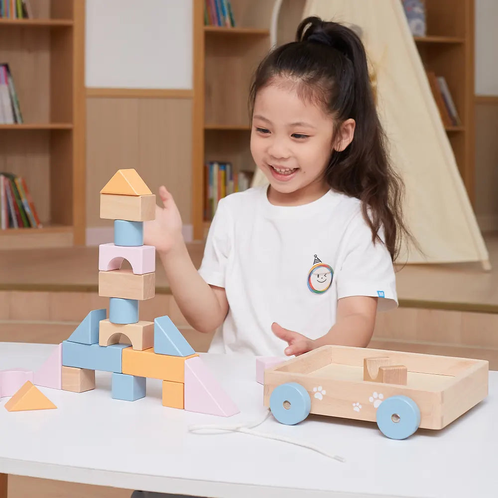 Pull Along Wagon with Wooden Blocks