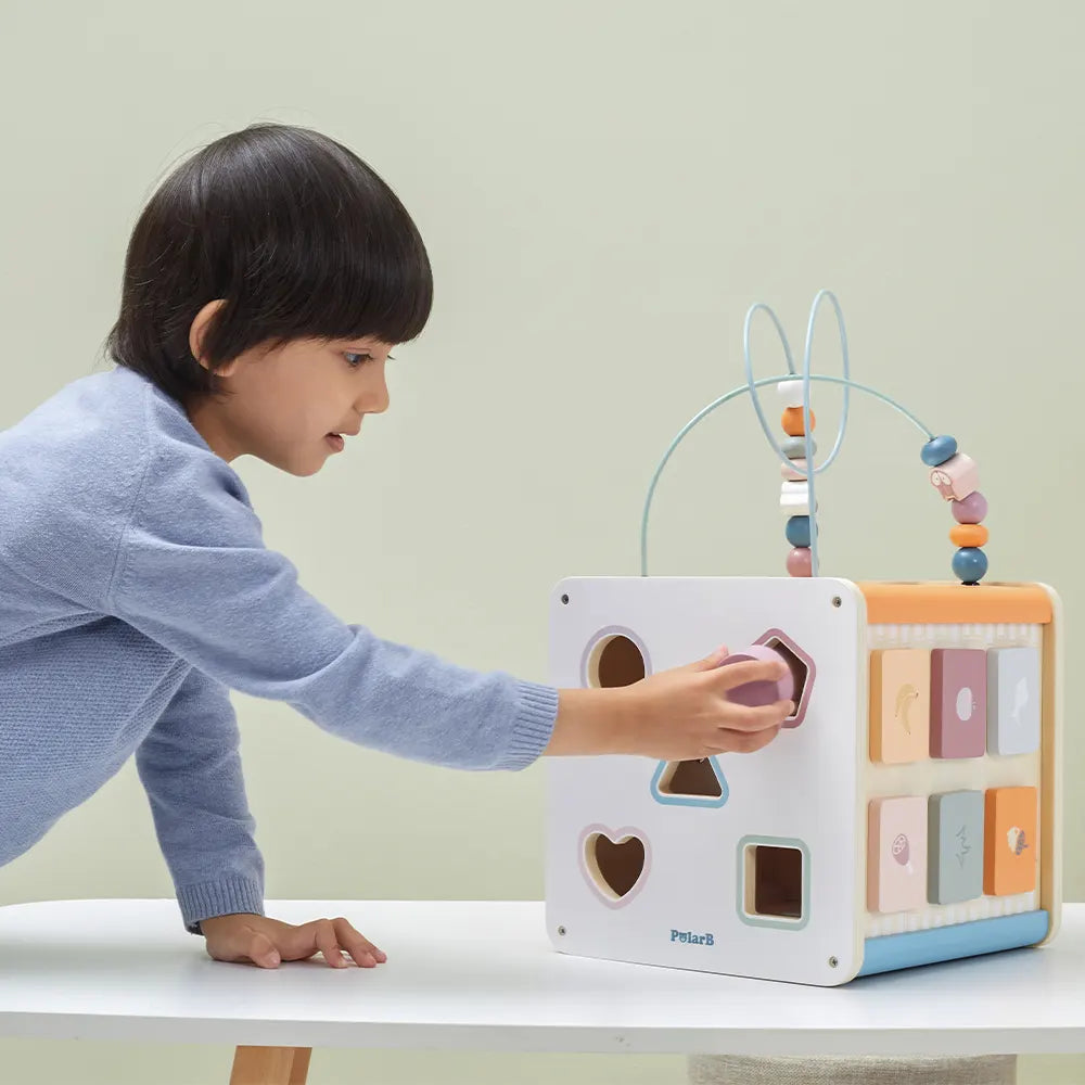 Wooden 8-in-1 Activity Cube