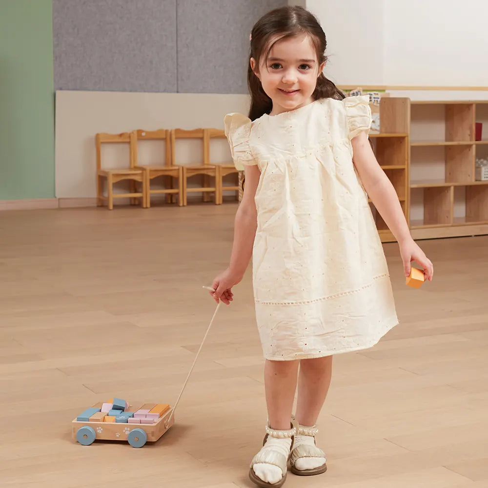 Pull Along Wagon with Wooden Blocks
