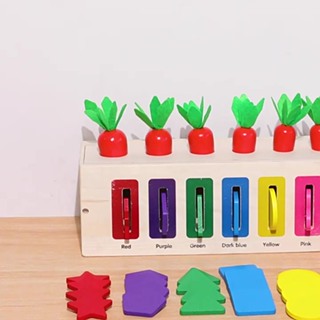 Carrot Harvest 3 in 1 Montessori