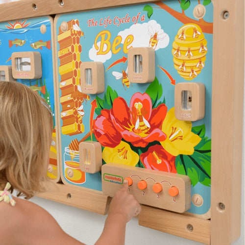 Light-Up Bee Life Cycle Stages Panel