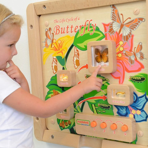 Light-Up Butterfly Life Cycle Stages Panel