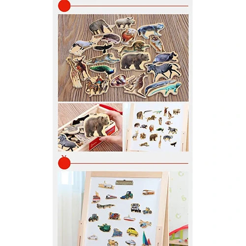 Magnetic Marine animals, Food items, Vehicles traffic puzzles