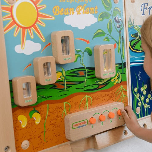 Light-Up Plant Life Cycle Stages Panel