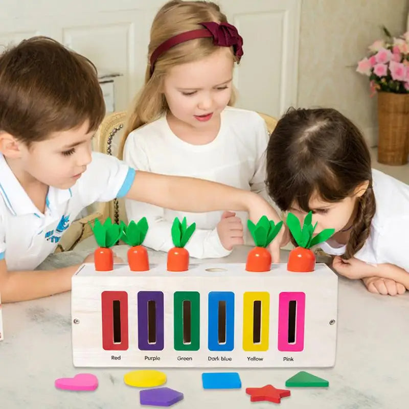 Carrot Harvest 3 in 1 Montessori