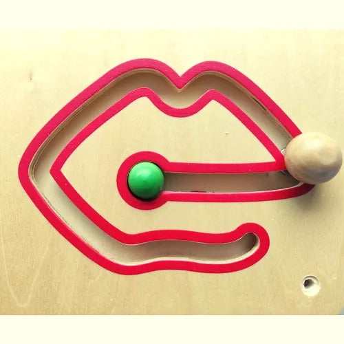 Eye, Nose, Ear & Lips Slide Wall Toy