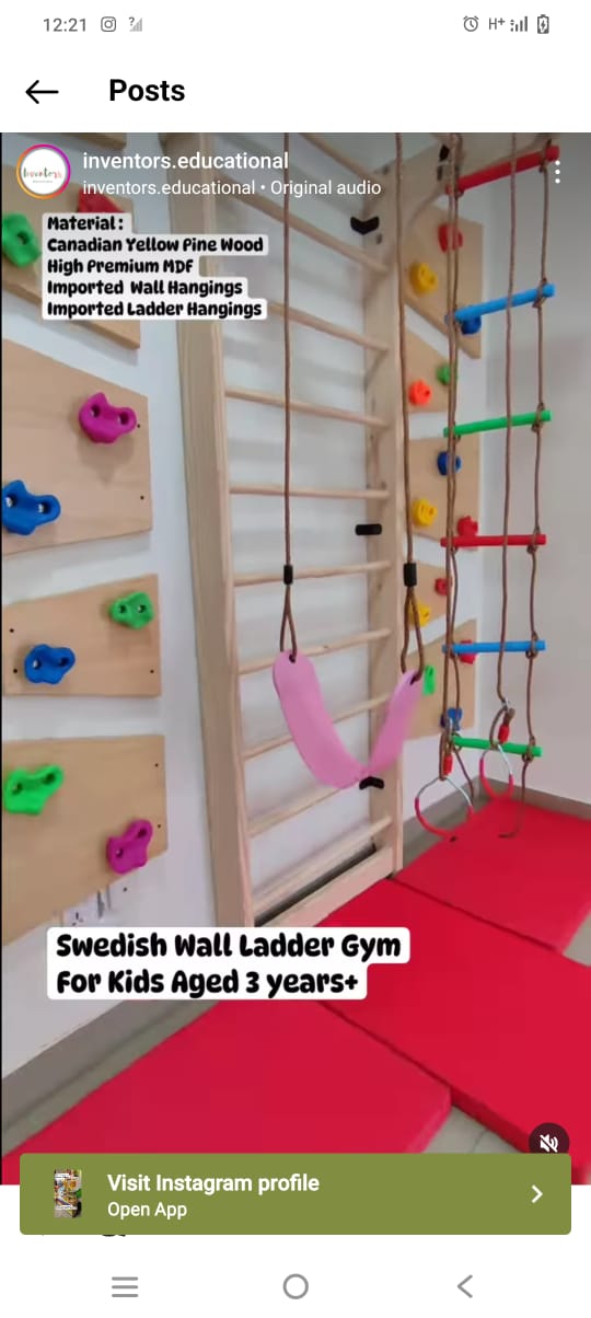 Swedish Ladder Unit & Ramp with Swing