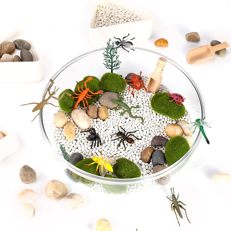 Insects Sensory Kit