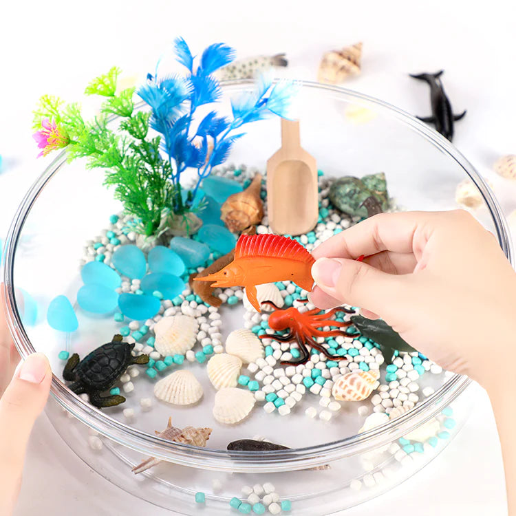 Ocean Sensory Kit