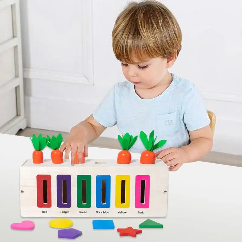 Carrot Harvest 3 in 1 Montessori