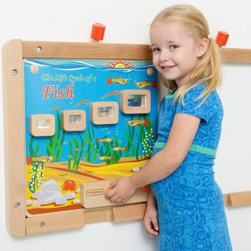 Light-Up Fish Life Cycle Stages Panel