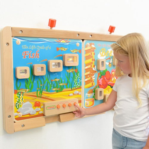 Light-Up Fish Life Cycle Stages Panel