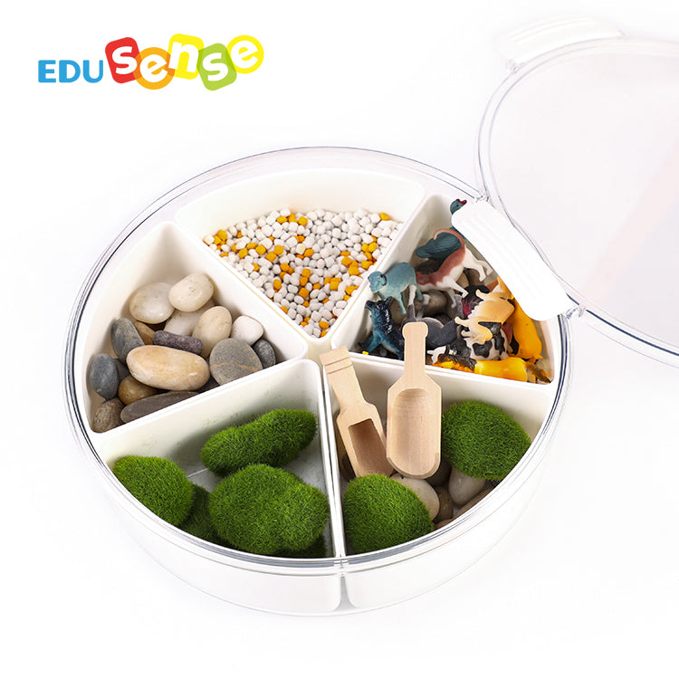 Insects Sensory Kit