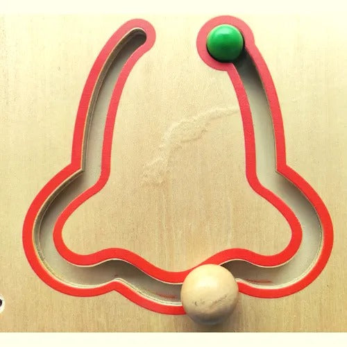 Eye, Nose, Ear & Lips Slide Wall Toy