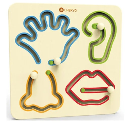 Eye, Nose, Ear & Lips Slide Wall Toy