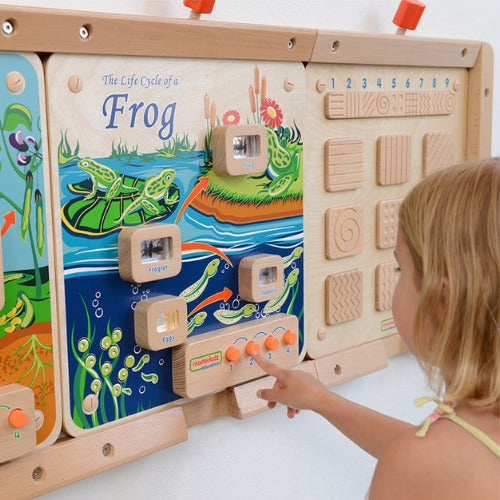 Light-Up Frog Life Cycle Stages Panel
