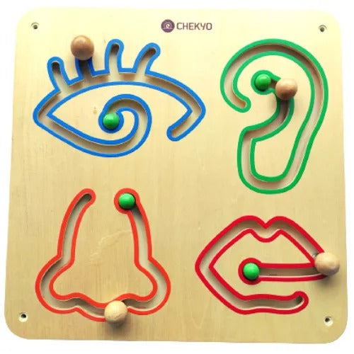 Eye, Nose, Ear & Lips Slide Wall Toy