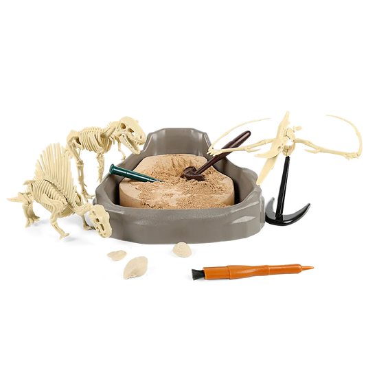 Dinosaur Fossil Dig Kit