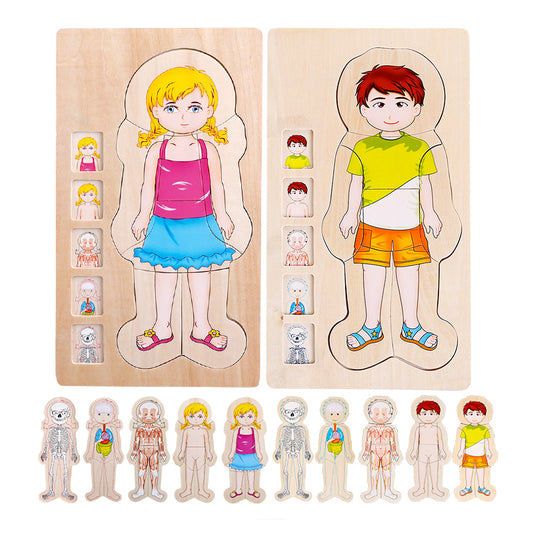Human Body Cognition Layers Puzzle Girl