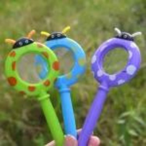 Cartoon Insect Shape Magnifying  (set of 3)