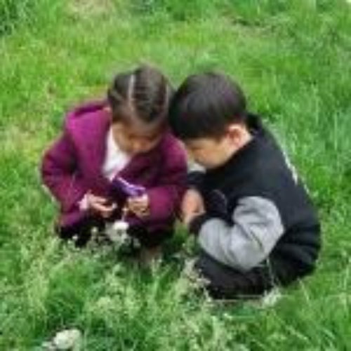 Cartoon Insect Shape Magnifying  (set of 3)