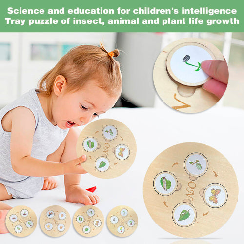 Life Cycle Puzzle Board