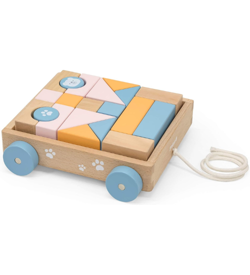 Pull Along Wagon with Wooden Blocks
