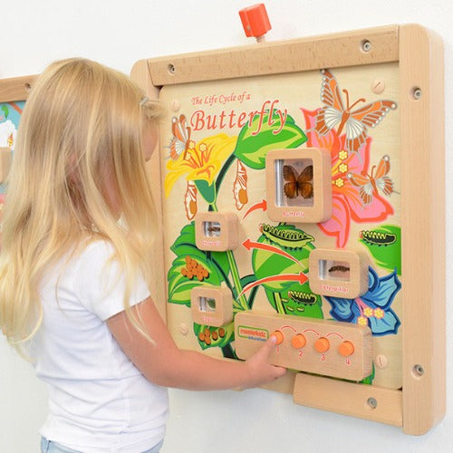 Light-Up Butterfly Life Cycle Stages Panel