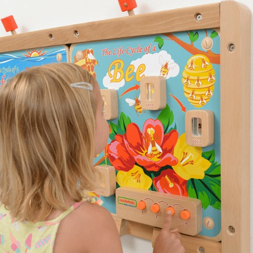 Light-Up Bee Life Cycle Stages Panel