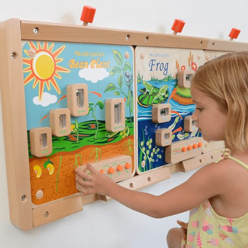 Light-Up Plant Life Cycle Stages Panel