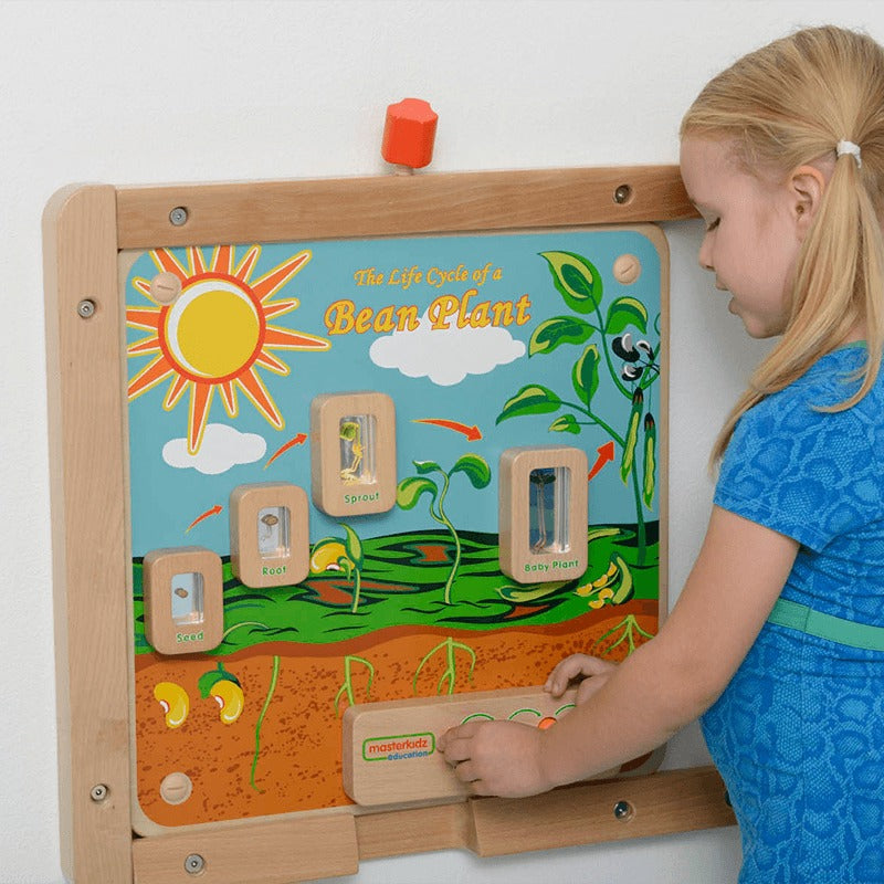 Light-Up Plant Life Cycle Stages Panel