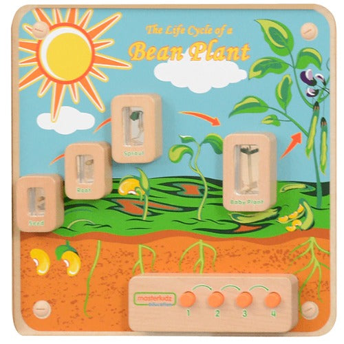 Light-Up Plant Life Cycle Stages Panel