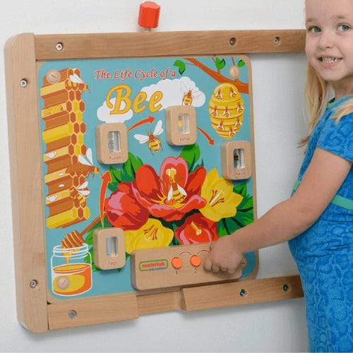 Light-Up Bee Life Cycle Stages Panel