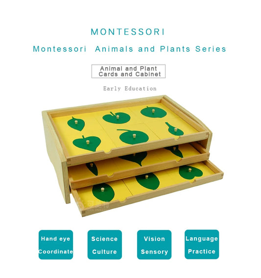 Leaf Cabinet 18 Insets Montessori Botany