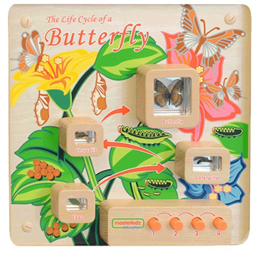 Light-Up Butterfly Life Cycle Stages Panel
