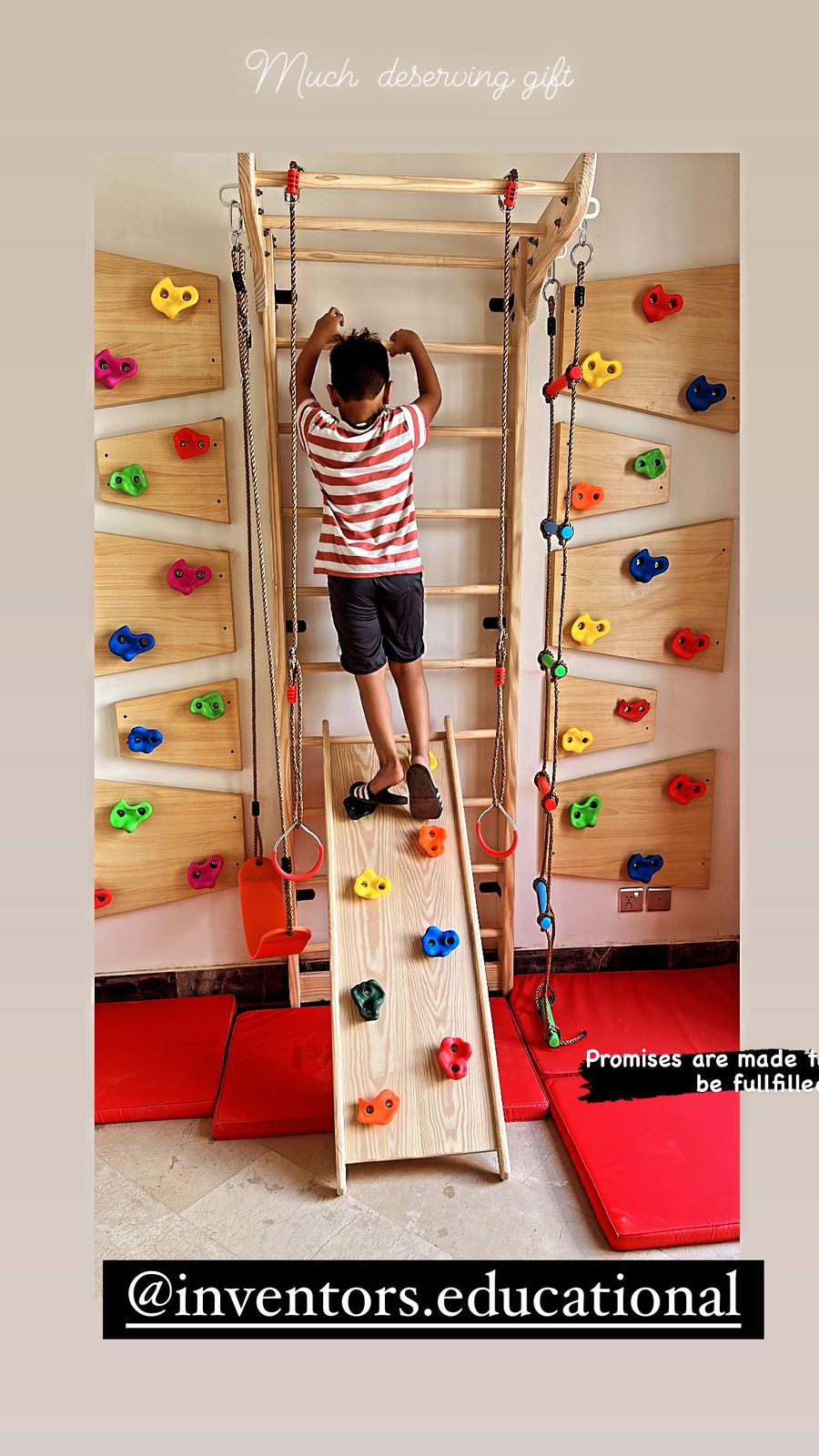 Swedish Ladder Unit & Ramp with Swing