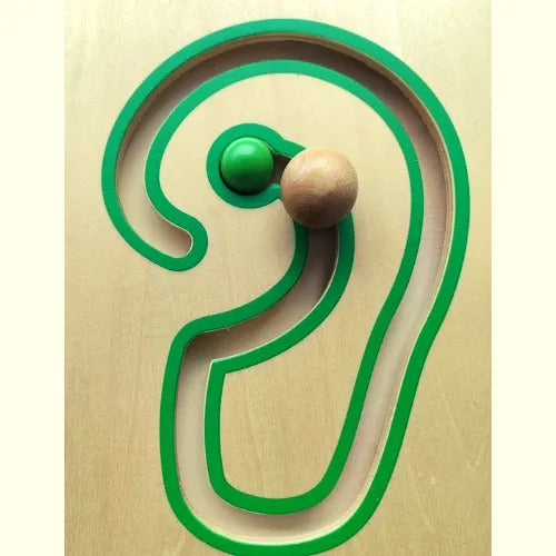 Eye, Nose, Ear & Lips Slide Wall Toy