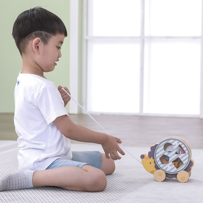 Wooden Sorter with Wheel