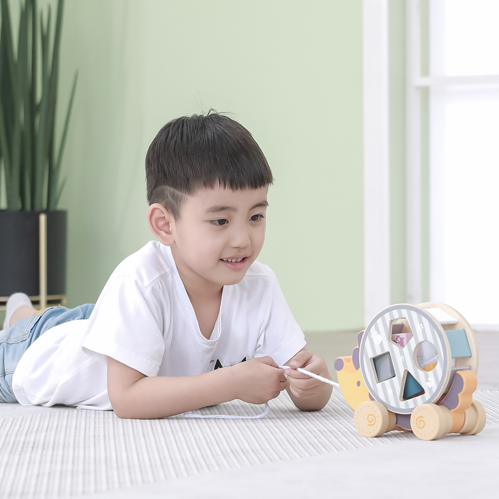 Wooden Sorter with Wheel