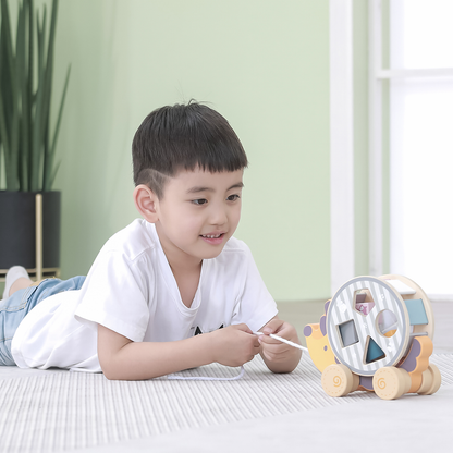 Wooden Sorter with Wheel