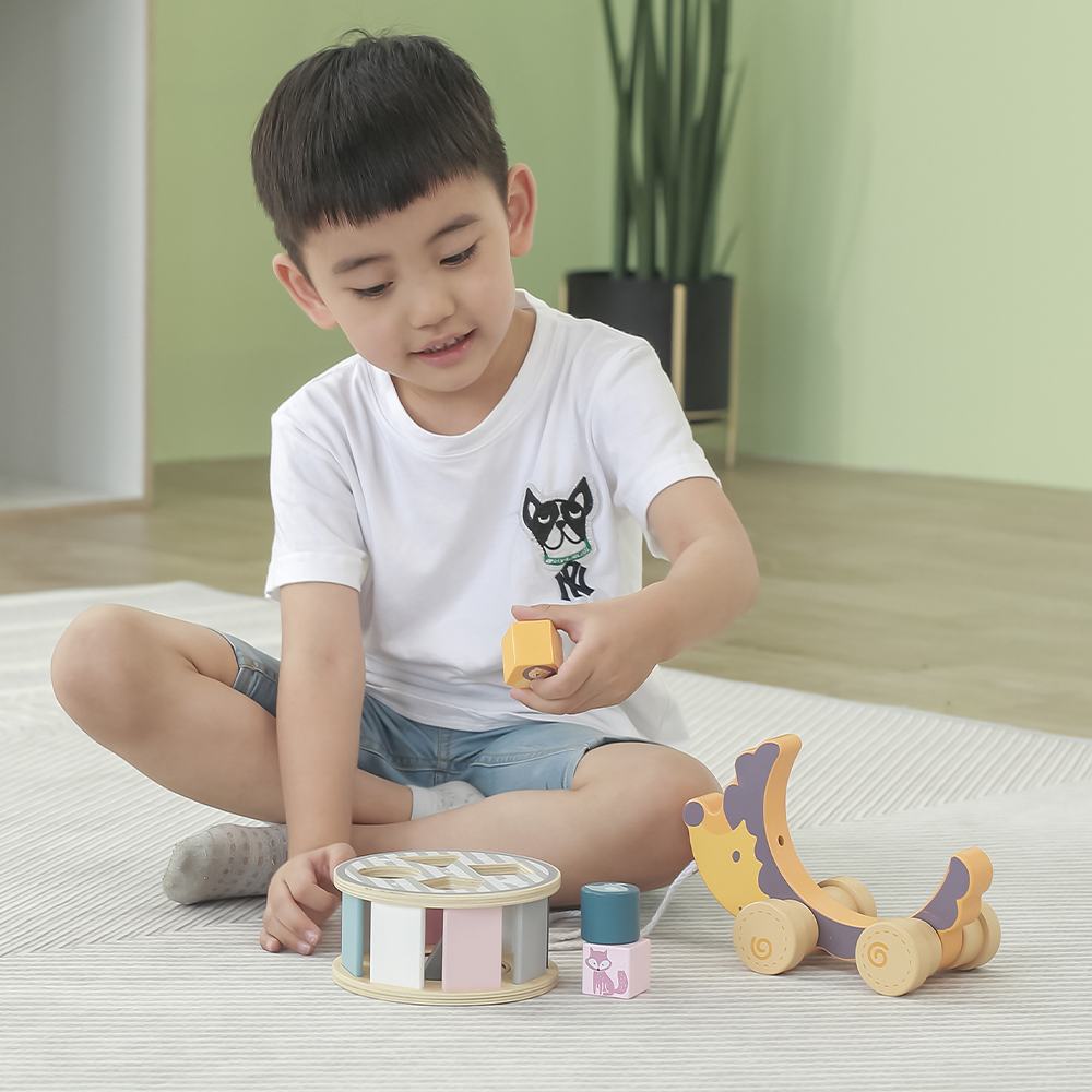 Wooden Sorter with Wheel