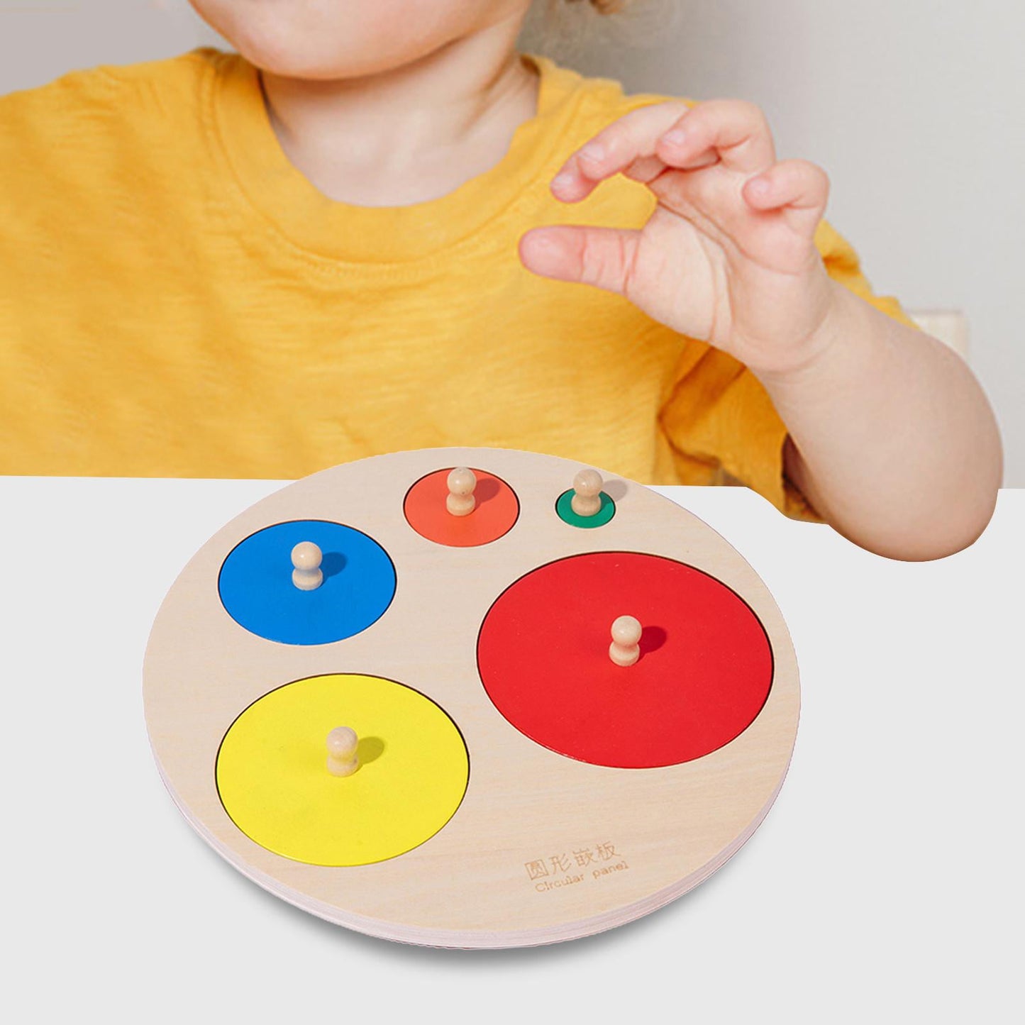 Montessori 5 colors round board Knob Puzzles