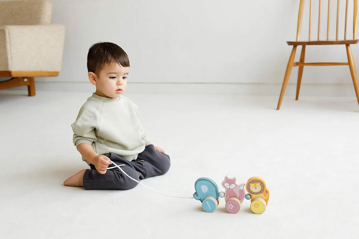 Pull Along animals Wooden