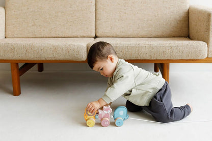 Pull Along animals Wooden